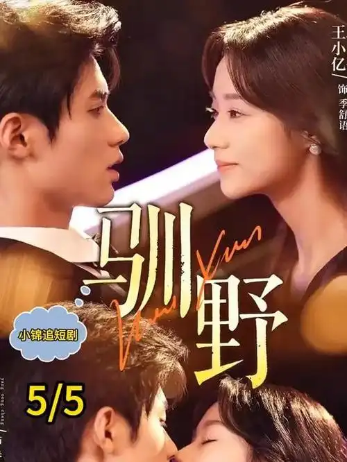 无声的告白 剧集海报